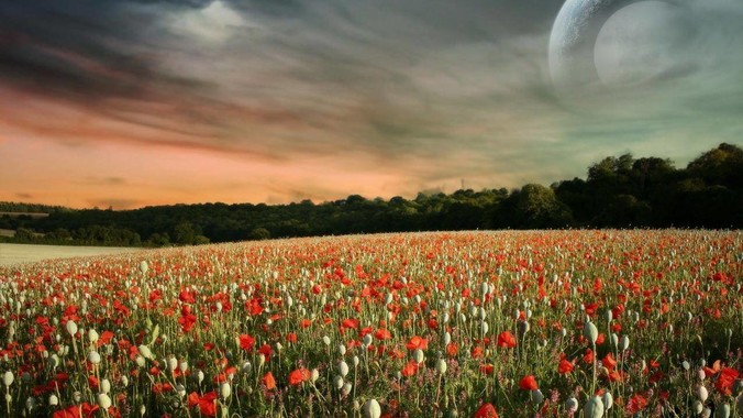 有个亲妹妹是什么感觉?